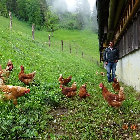 Berghof Burtscher Ludesch Ngoại thất bức ảnh