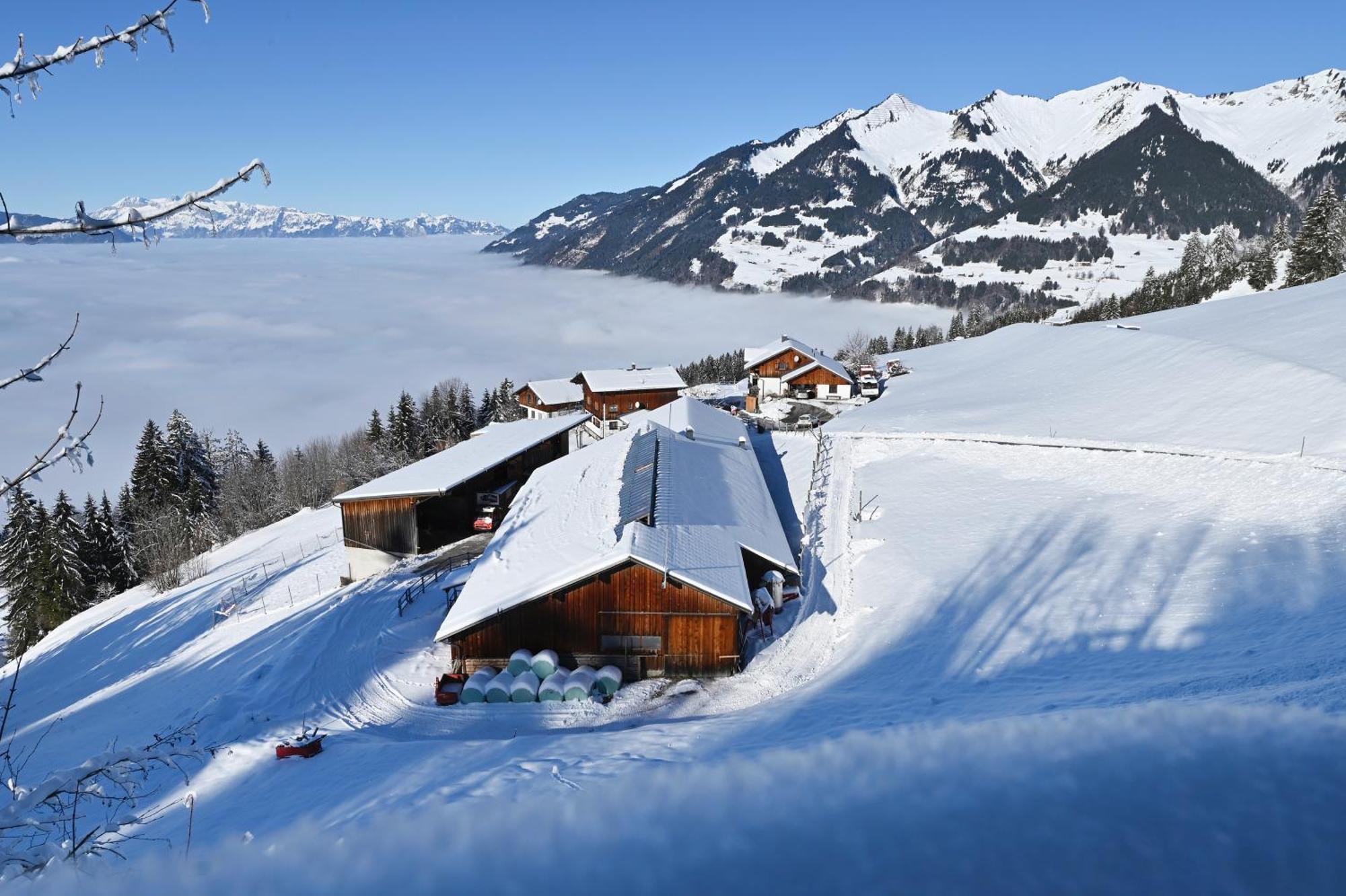 Berghof Burtscher Ludesch Ngoại thất bức ảnh